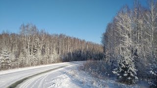 Красавица зима вступает в свои права ❄️⛄🌨️☃️❄️ Russian beautiful winter .