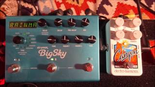 EHX Canyon Delay & Looper - Reverse Delay Demo