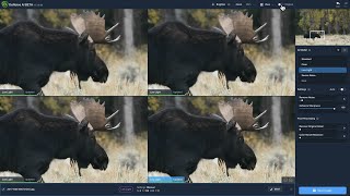 A closer look of the improved Comparison View in DeNoise AI v.3.3