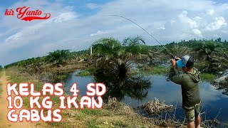 MANCING DI SINI 10 KG IKAN GABUS BERHASIL DI BAWA PULANG