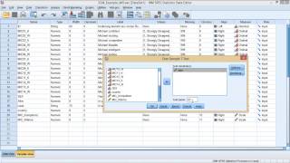 One Sample T-Test on SPSS