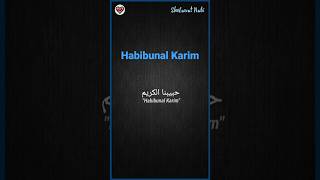 Habibunal Karim #sholawat #sholawatmerdu #sholawatnabi #storywa #storywhatsapp #liriklagu