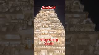 Sreebhumi Tirupati balaji Mandir 2024 #kolkatadurgapuja #durgapuja2024 #sreebhumidurgapujapandal2024