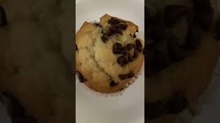 #shorts Would You Try This Chocolate Chip Muffin Y/N? Taste Test Eating Food Scene Comedy Challenge