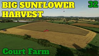 BIG SUNFLOWER HARVEST! - Court Farm Ep 32 - Farming Simulator 22