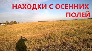 ОСЕННИЙ КОП НА ПРОСТОРАХ ПЕНЗЕНСКОЙ ОБЛАСТИ