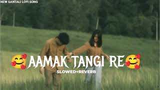 Aamak tangi re _ (Slowed+Reverb) New santali Romantic Lofi song 2024❤ _ New santali video 2024 🥀