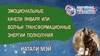 Волчьи  трансформационные энергии Полнолуния или эмоциональные качели января