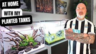 MY HOME PLANTED AQUARIUMS AND SOMETHING A LITTLE DIFFERENT