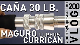 CAÑA MAGURO LUPHUS 30 LB