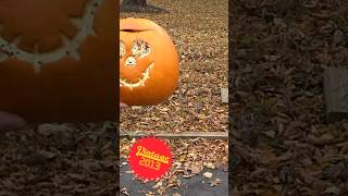 Smashing Halloween Pumpkins 2013 Vintage The Tom & Haley Show #shorts #pumpkins