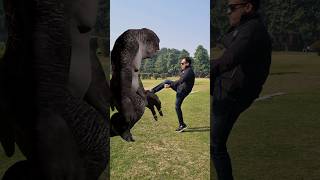 Gta 5 bigfoot 3 |  Gorilla | Hulk | siren vs man Fighting funny vfx magic video