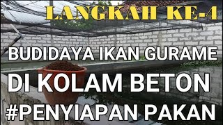 CARA BUDIDAYA IKAN GURAME DI KOLAM BETON - LANGKAH KE 4 PENYIAPAN PAKAN GURAME