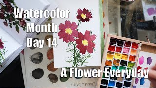 Day 14 Watercolor Month - A flower Everyday! Cosmos