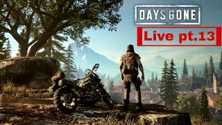 Days Gone. Live pt. 13