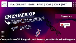 Comparison of Eukaryotic and Prokaryotic Replicative enzymes || #DNAReplication  || #CSIR