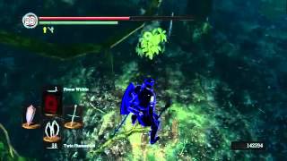 Dark Souls Modder #5