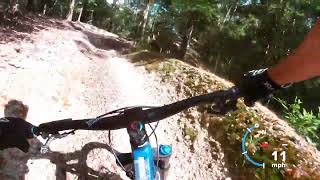 Bentonville MTB / Blowimg springs Park/ Ace of Spades