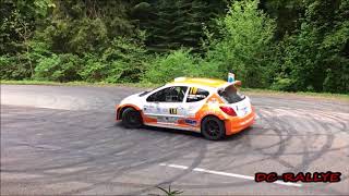 Rallye Ain Jura 2018 - Show et Mistakes