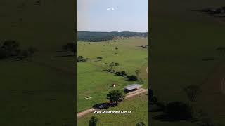 Fazenda extra de 430 alqueires (2.080 hectares) em Itapaci - GO  # #fazendaavendaemgoias #pecuaria