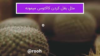 دوست داشتن کسی که دوستت نداره 😐#شعر #داستان #شعر_مولانا #مولانا