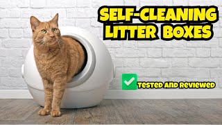 Top 7 Best Self Cleaning Litter Box in 2025