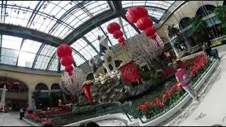 360 Degree Video Las Vegas Bellagio Chinese New Year of the Dog