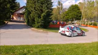 Rally Fuchs 2017