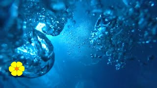 Underwater REAL Bubble Sounds - Water Bubbles - Underwater Sounds Ambience Relax White Noise 5 HOURS