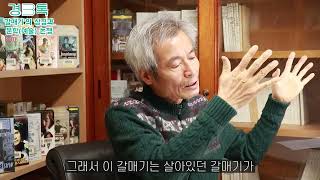 [열린 인문학] [안톤 체호프 '갈매기'] #5 갈매기의 상징과 문학(예술) 논쟁