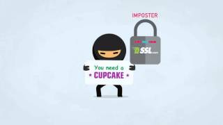 What Is SSL?