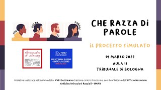 Che razza di parole! - Il processo simulato (le mini interviste)