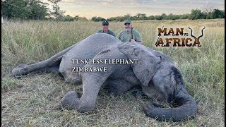 Man vs Africa Tuskless Elephant Zimbabwe