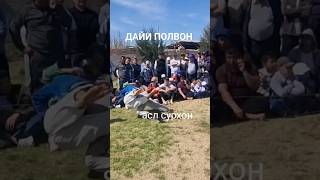 ДАЙИ ПОЛВОН ГАЛАБАСИ 24.03.2024 ##рек #кураш #шортс #дзюдо #тренды #врек #зохид #узбек