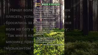 🦉Психология мотивации, цитаты, саморазвитие, философия