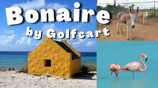 Touring Bonaire by Golfcart without a Guide | Our favorite of the ABC Islands on Regal Princess