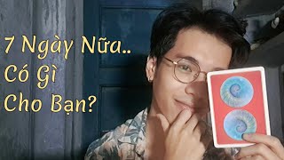 7 Ngày Nữa Có Gì Cho Bạn ? - Chọn 1 tụ bài Tarot