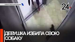 В Казани женщина ногами избила маленького пуделя в лифте