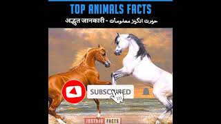 Fascinating And Astonishing Animal Facts 🦙 | Breathtaking Fun Facts | #shorts #justujufacts