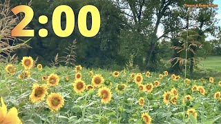 2 Minute Sunflower Field 🌻🌻 Timer Countdown ⏳