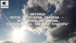 МАТРИЦА ПЕТРА ПЕТРОВИЧА ГАРЯЕВА - ИСЦЕЛЕНИЕ ОРГАНИЗМА, СОЗДАННАЯ по ЗАКОНАМ КРАСОТЫ!Видео от ТаГоры.