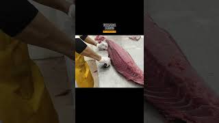 FABULOUS 477 kg tuna fish cutting from Aceh Indonesia