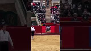 "Narrow Escape-Man vs Bull#short #scary #moment