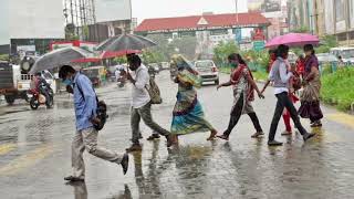 ఏపీలో ఈరోజు నుండి ఈ జిల్లాల్లో భారీవర్షాలు|TODAY WEATHER REPORT AP|TODAY WEATHER FORECAST IN AP