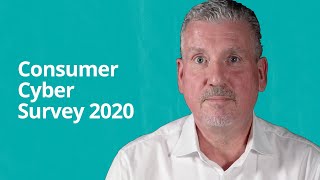 Consumer cyber survey