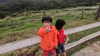 Chillin’ @Kundasang Part 2 Mount Kinabalu, Kota Kinabalu / Travelog 2019