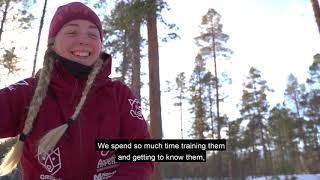 Hanna Lyrek | Young female dogmusher in Northern Norway | Europe Champion