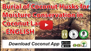 Burial of Coconut Husks for Moisture Conservation in Coconut Lands - ENGLISH