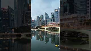 Beautiful Scenes of Singapore #singapore #shortsfeed #foryou #naturelovers #shorts #travel