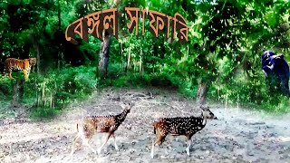 Bengal Safari ।। Siliguri ।। বেঙ্গল সাফারি ।। শিলিগুড়ি  ।।